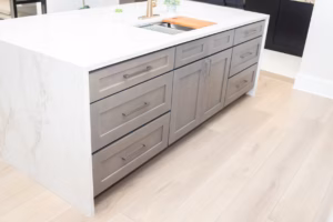 ae4f4a_e47fcf6f3520495089c60bcbf553cc1b~mv2