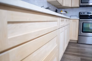 bd0079_1c1b8b5337ad447eaf3ce12da9470afb~mv2